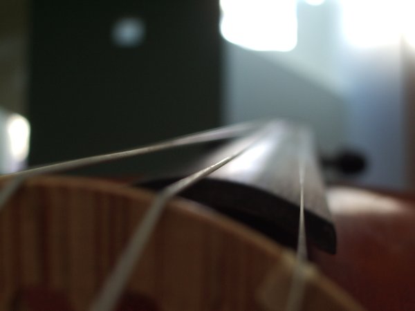 Macro shot over the bridge of a violin down the strings