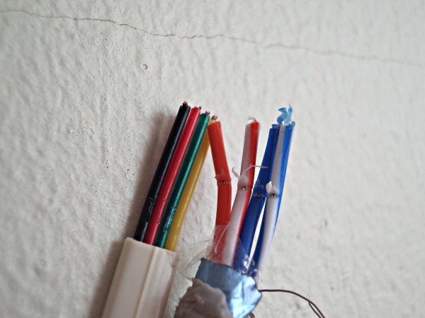 Side by side shot, white background, good focus on both the telephone cable on the left and the STP cable on the right