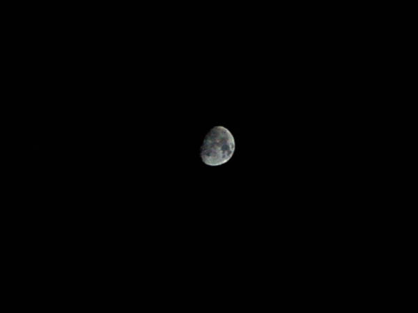 The moon, clear, can make out craters