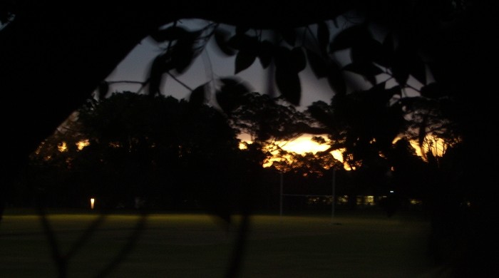 Football field at night through trees with sun setting in background