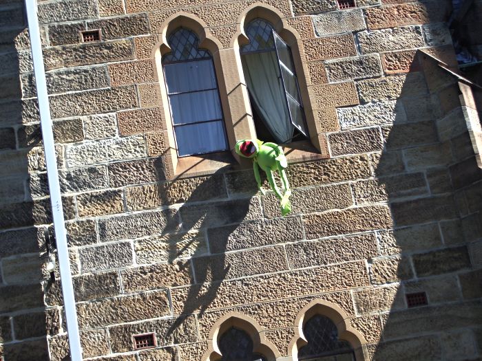 Kermit escapes a sandstone castle