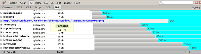 Firebug in Net inspector action